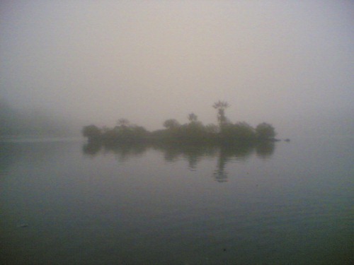 Image(458) Image(458)