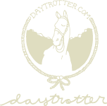 [daytrotter-logo[3].png]