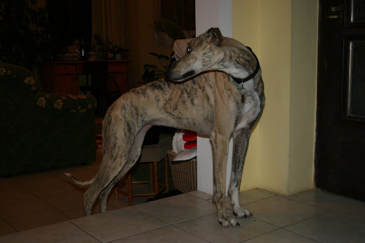 IMG_8829.JPG