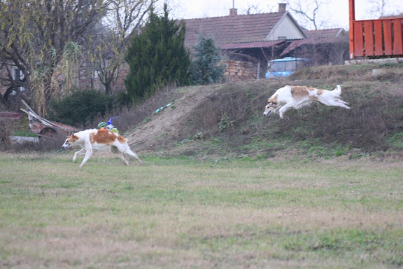 IMG_9145.JPG