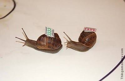 [snails_closeup[3].jpg]