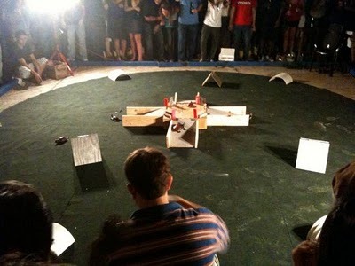 [Turtle-racing-2[3].jpg]