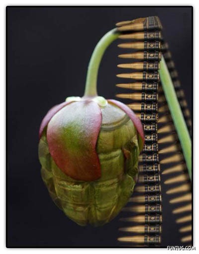 [pohon5[4].jpg]