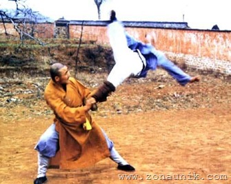 amazingcoolawesomeincredibleShaolinKungFuChinesemartialartsskillphotos7