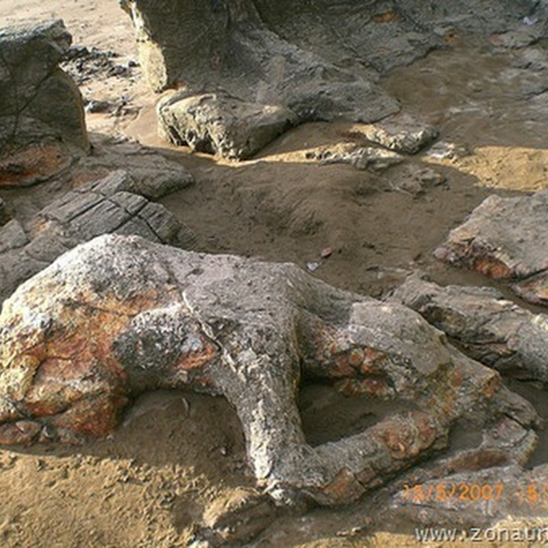 Rahasia Malin Kundang terkuak  foto foto gokil dan lucu