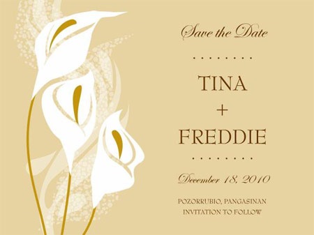 Tina and Freddie 39s Wedding December 18 2010 Pangasinan 