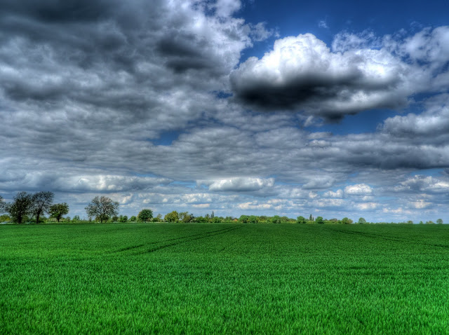 P1100225_19_20_21_22_23_24_tonemapped.jpg