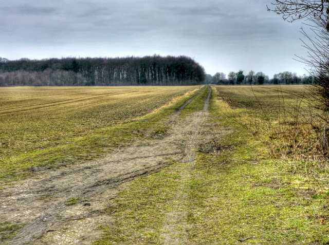 P1050689_90_91_92_93_94_95_tonemapped.jpg