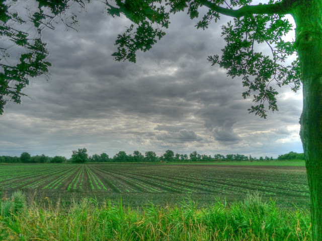 P1150708_6_7_tonemapped.jpg