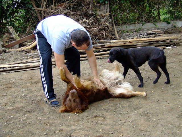 DSCF4073.JPG