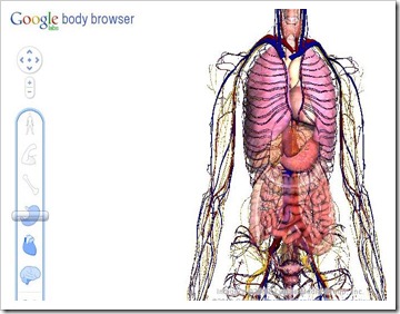tampilan_telanjang_di_google_body_browser