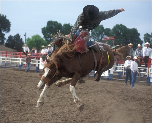 bucked