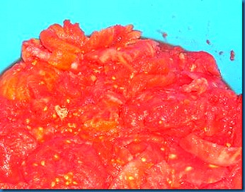 DSCN1332 DSCN1332