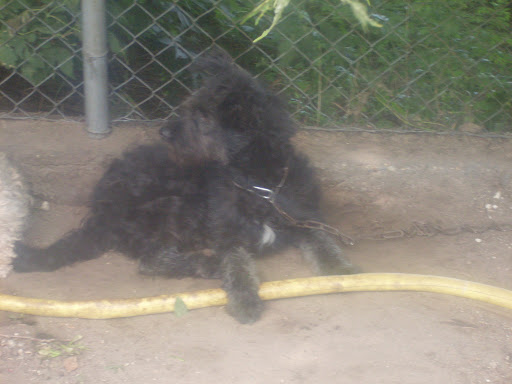 SDC11118.JPG