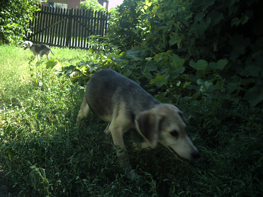 PICT0088.JPG