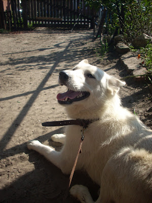 DSCN0096.JPG