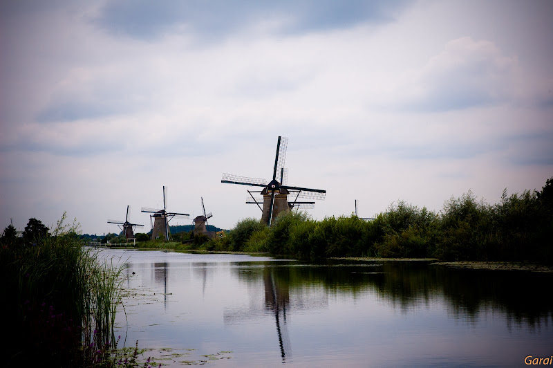 DSC_0214.jpg
