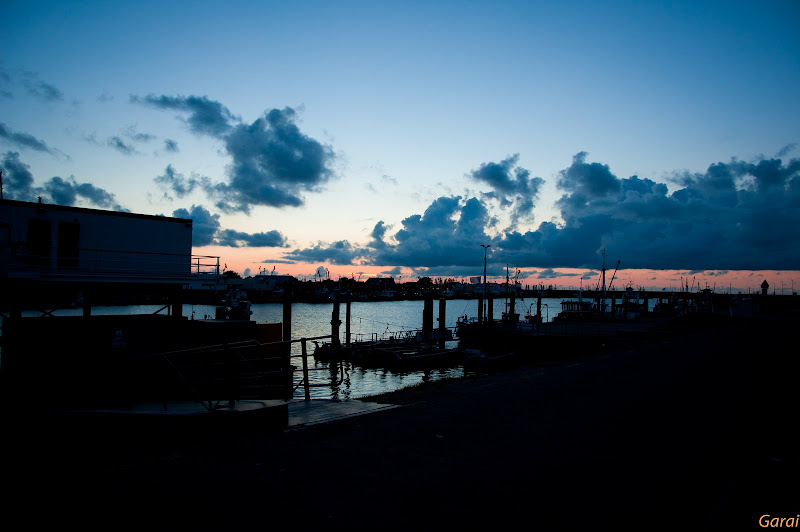 DSC_0319.jpg