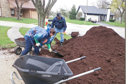Is Cow Manure Compost Good For Lawns