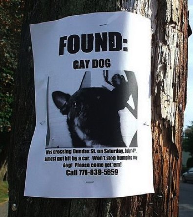 Lost (And Found) Pet Signs Seen On lolpicturegallery.blogspot.com