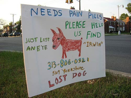 Lost (And Found) Pet Signs Seen On lolpicturegallery.blogspot.com