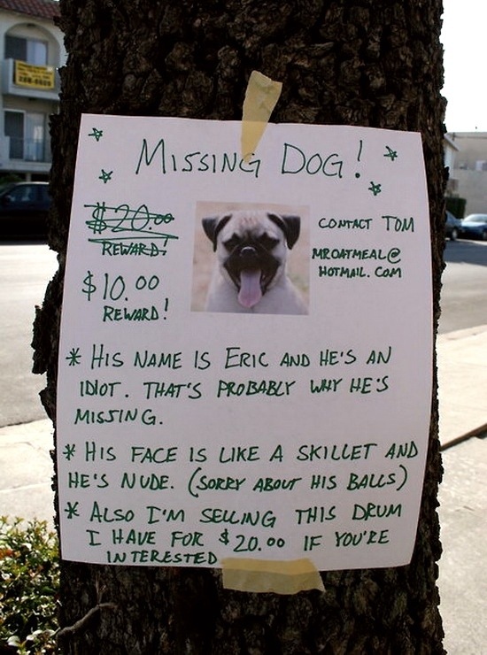 Lost (And Found) Pet Signs Seen On lolpicturegallery.blogspot.com