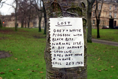 Lost (And Found) Pet Signs Seen On lolpicturegallery.blogspot.com