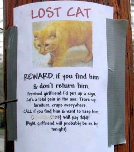 Lost (And Found) Pet Signs Seen On lolpicturegallery.blogspot.com