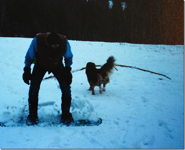 Buck with Stick 5