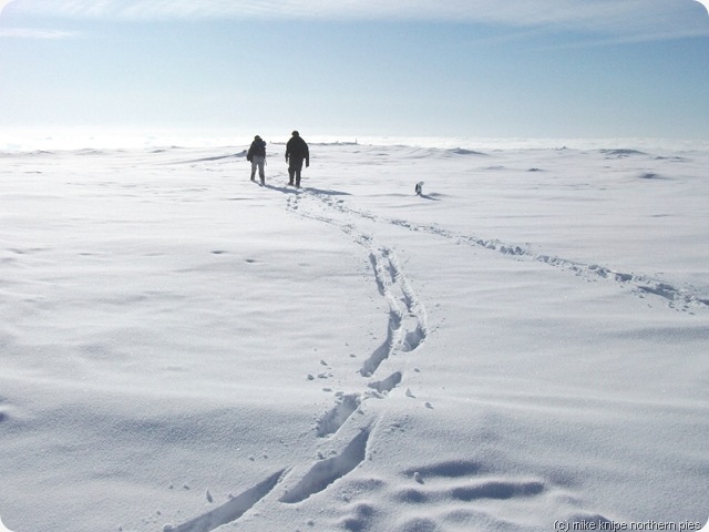 footprints to follow