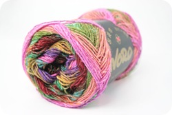 noro silk garden sock 258