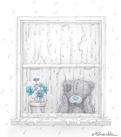 bamse i vindu ser på regn