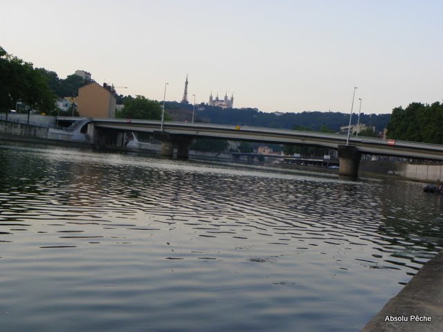 Saône, pont Masaryk photo #82
