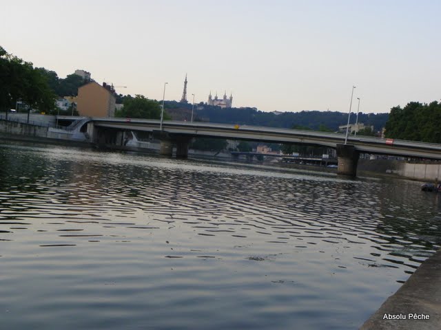 Saône, pont Masaryk photo #82