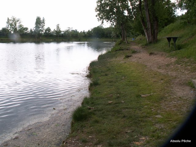 La berge côté Saône
