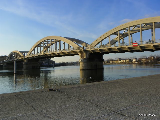 Pont de Neuville sur Saône photo #269