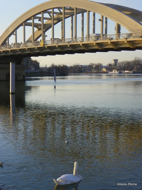 Pont de Neuville sur Saône photo #272