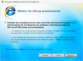 Instalar Windows Internet Explorer_013