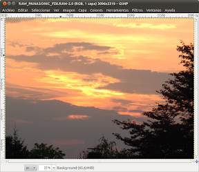 0045_RAW_PANASONIC_FZ8.RAW-2.0 (RGB, 1 capa) 3096x2319 – GIMP