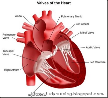 Rheumatic Heart Disease