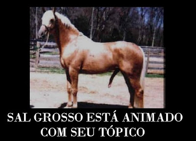 salgrosso.jpg