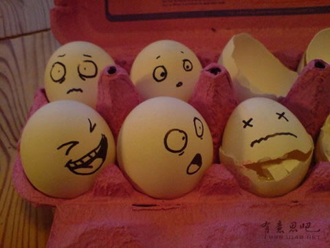 [Eggs (11)[3].jpg]