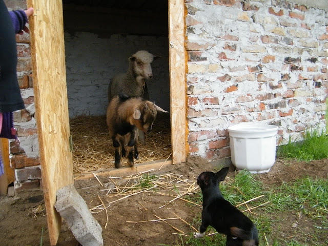 2010%20m%C3%A1rcius%20%C3%A1prilis%20612.jpg
