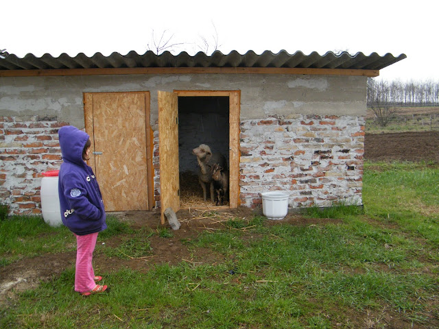2010%20m%C3%A1rcius%20%C3%A1prilis%20609.jpg