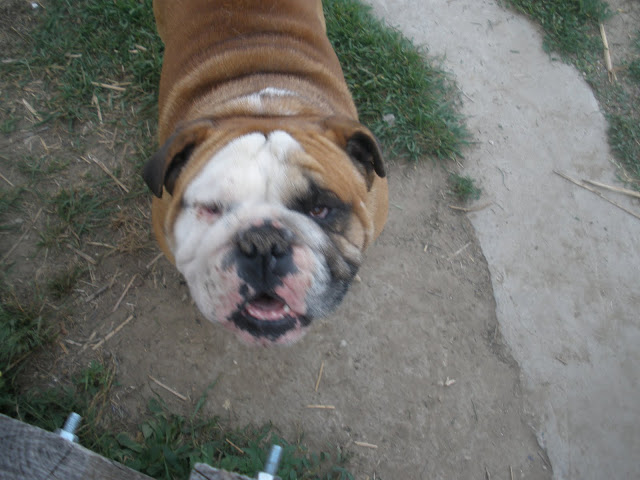 2009.06.17.%20068.jpg