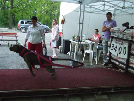 DSCF5360.JPG