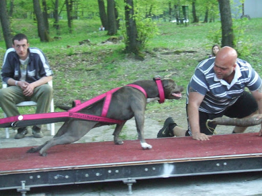 DSCF5352.JPG