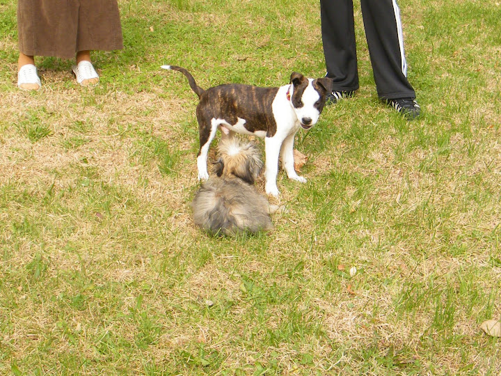 2010%20Kocka%20302.jpg