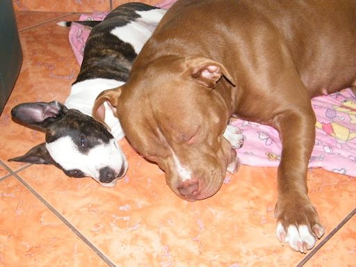 2010%20Kocka%20244.jpg