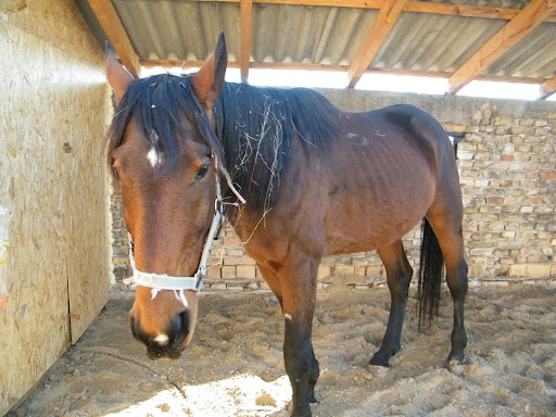 Lovak%20009.jpg